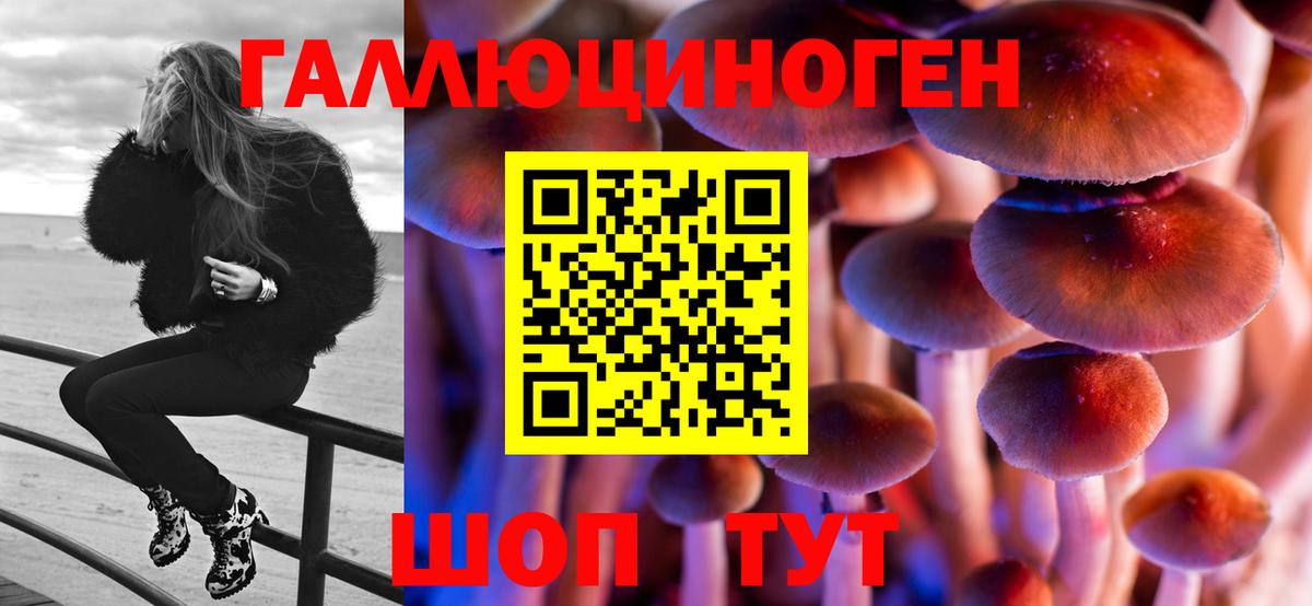 Псилоцибиновые грибы Psilocybine cubensis Анапа